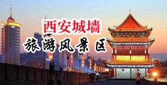 女人屄毛耸耸中国陕西-西安城墙旅游风景区